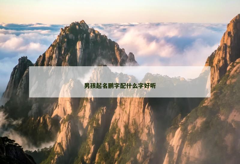 男孩起名鹏字配什么字好听