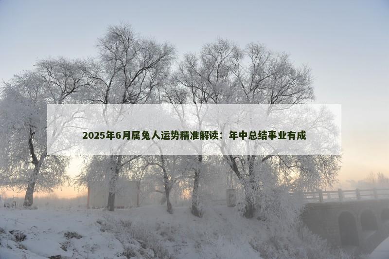 2025年6月属兔人运势精准解读:年中总结事业有成