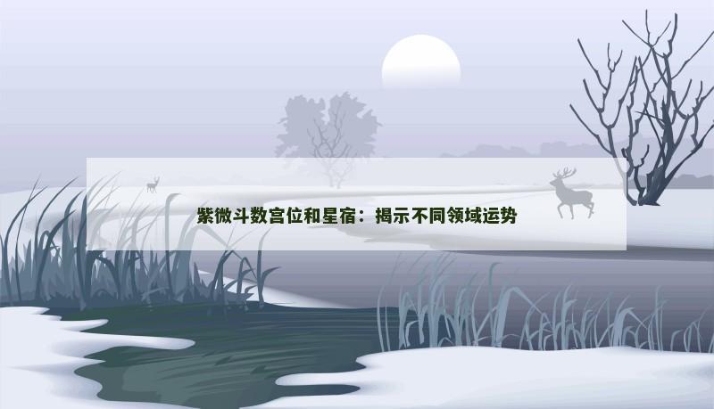 紫微斗数宫位和星宿：揭示不同领域运势