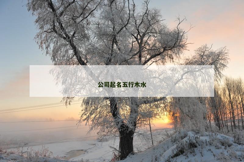 公司起名五行木水