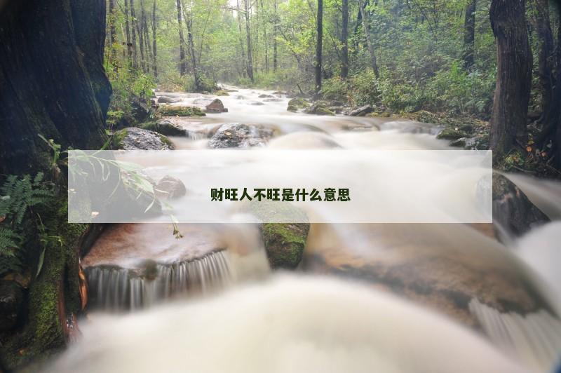 财旺人不旺是什么意思