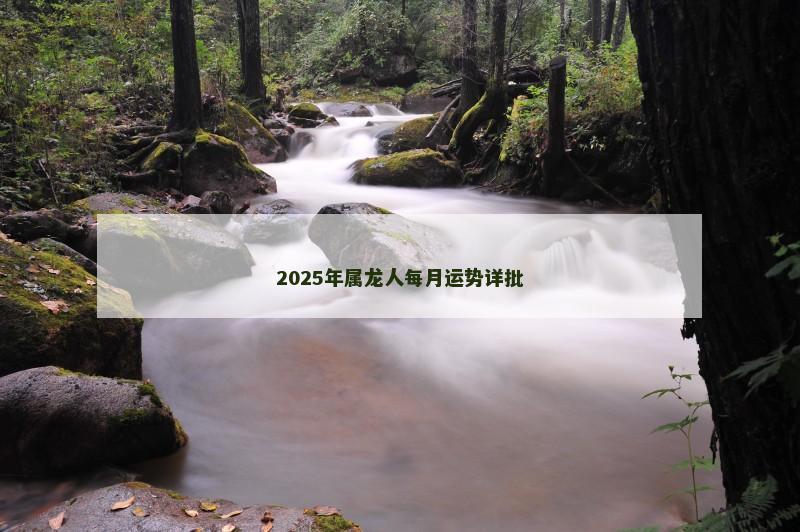 2025年属龙人每月运势详批
