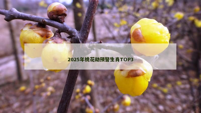 2025年桃花劫预警生肖TOP3