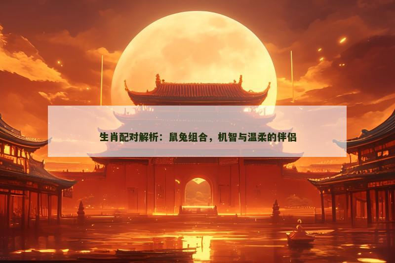 生肖配对解析：鼠兔组合，机智与温柔的伴侣