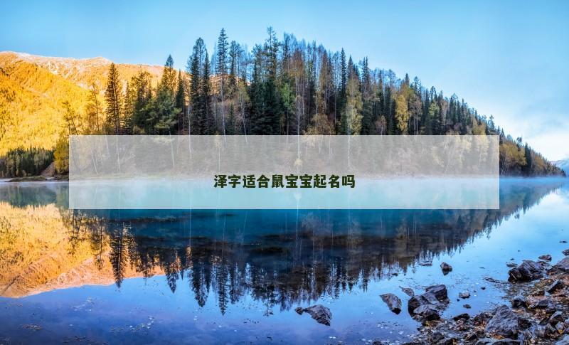 泽字适合鼠宝宝起名吗