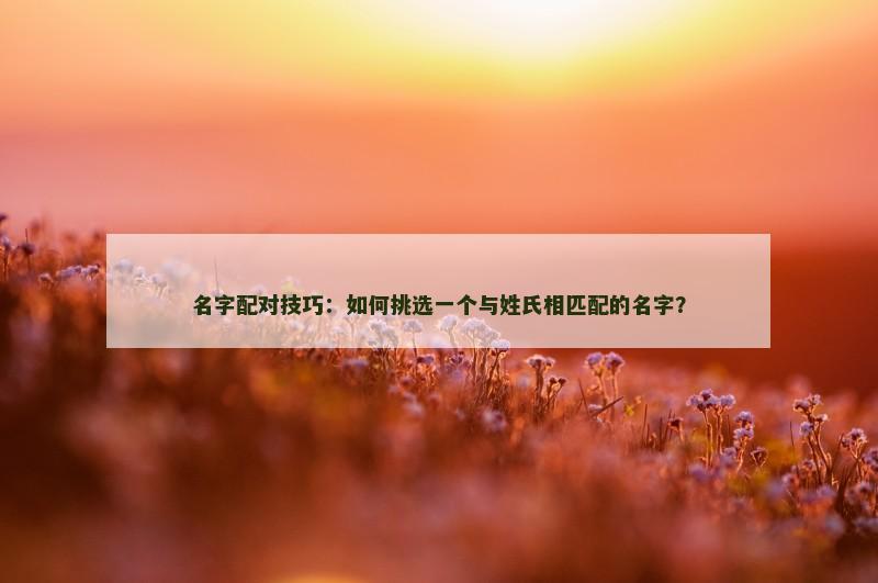 名字配对技巧：如何挑选一个与姓氏相匹配的名字？