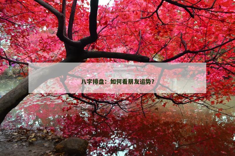 八字排盘：如何看朋友运势？