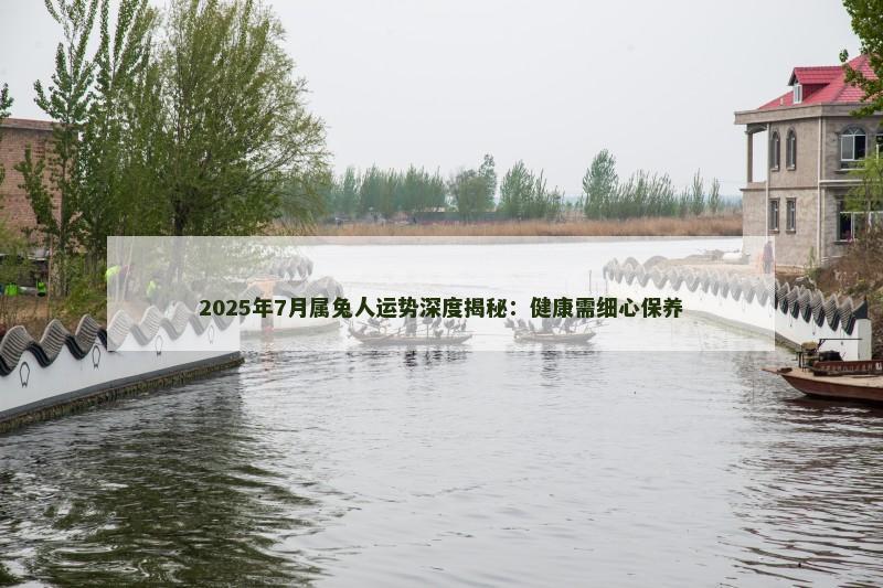 2025年7月属兔人运势深度揭秘：健康需细心保养