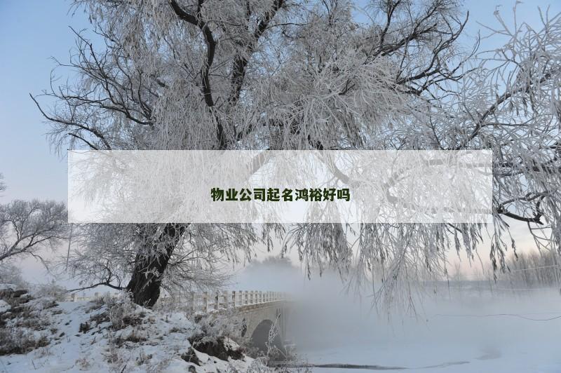 物业公司起名鸿裕好吗 物业公司起名鸿裕好吗