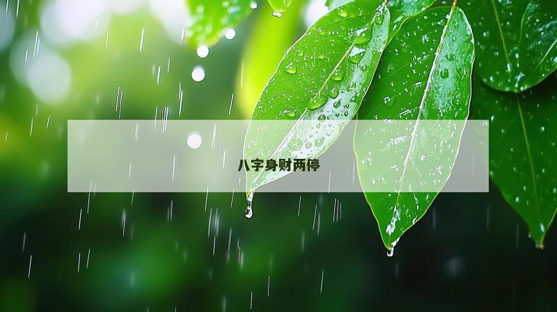 八字身财两停