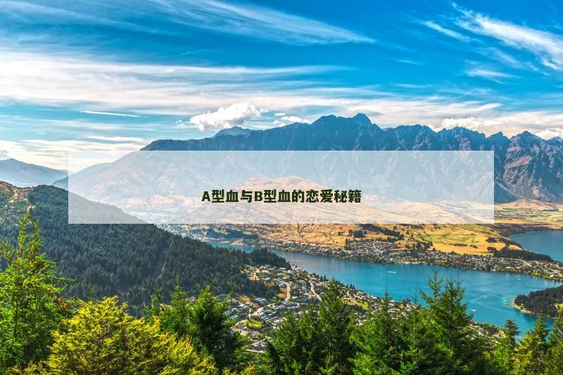 A型血与B型血的恋爱秘籍 A型血与B型血的恋爱秘籍