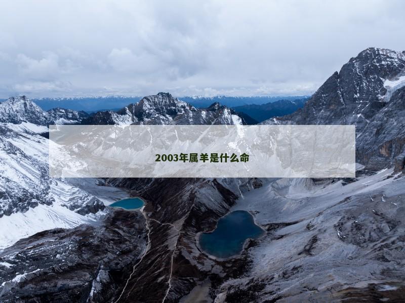 2003年属羊是什么命