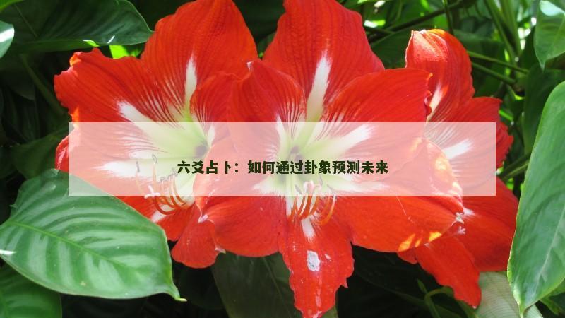 六爻占卜:如何通过卦象预测未来 六爻占卜:如何通过卦象预测未来