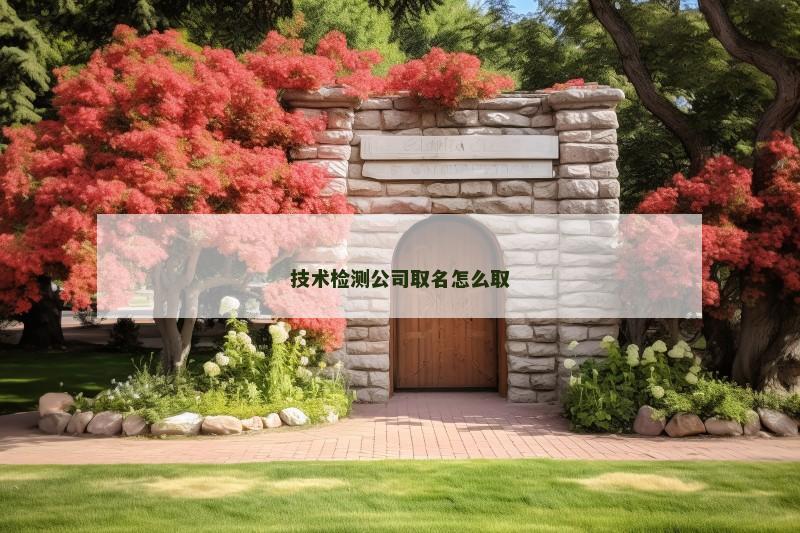 技术检测公司取名怎么取