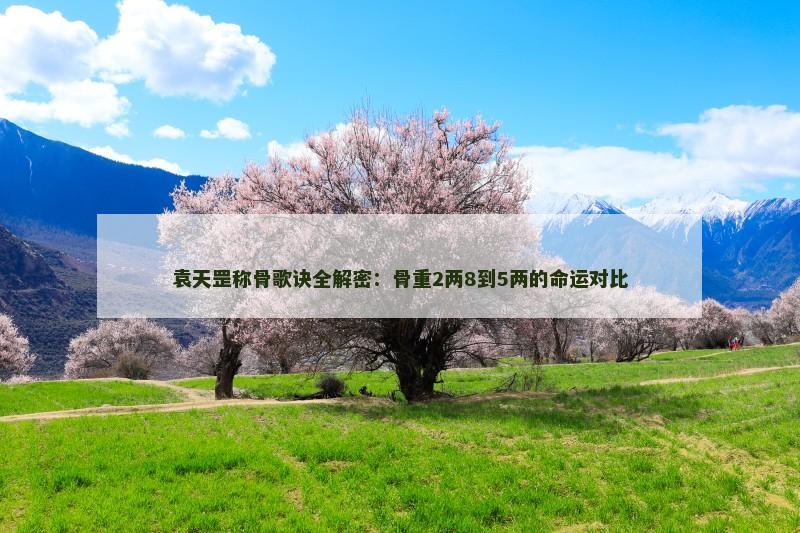 袁天罡称骨歌诀全解密：骨重2两8到5两的命运对比