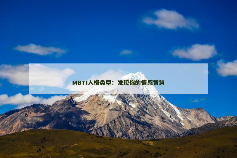 MBTI人格类型：发现你的情感智慧