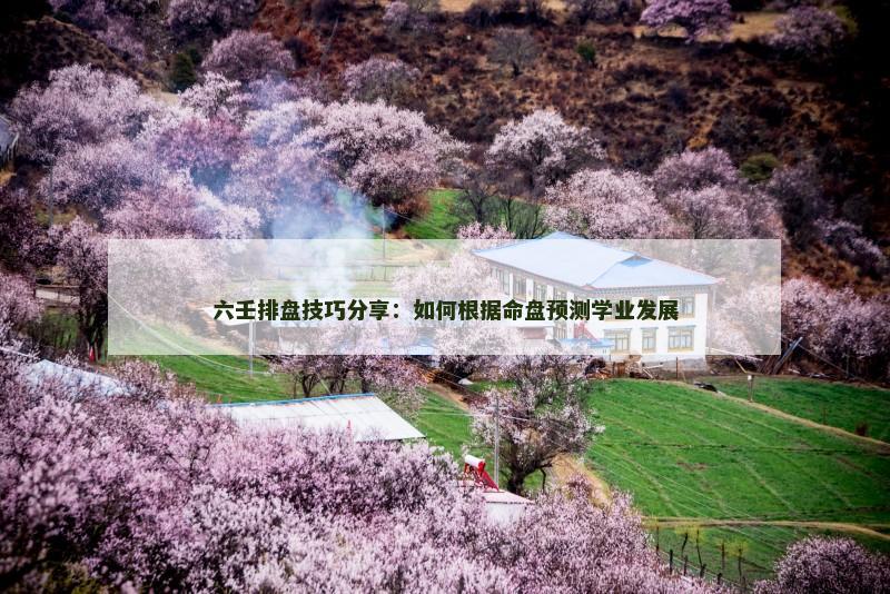 六壬排盘技巧分享：如何根据命盘预测学业发展