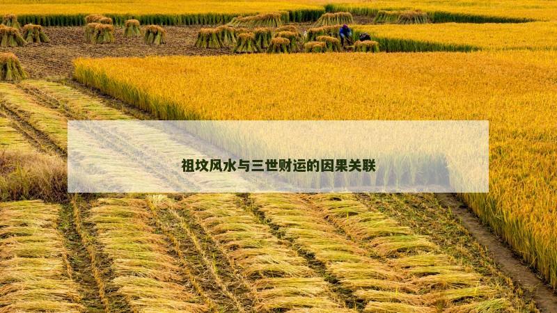 祖坟风水与三世财运的因果关联