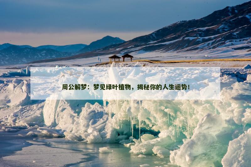 周公解梦：梦见绿叶植物，揭秘你的人生运势！