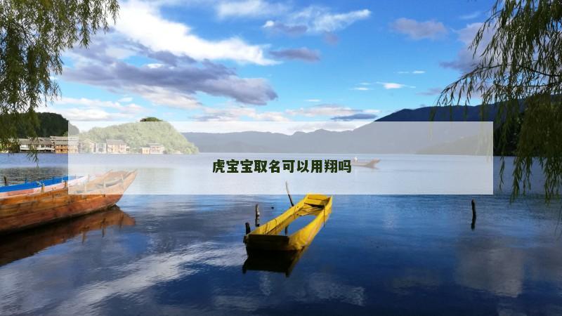 虎宝宝取名可以用翔吗