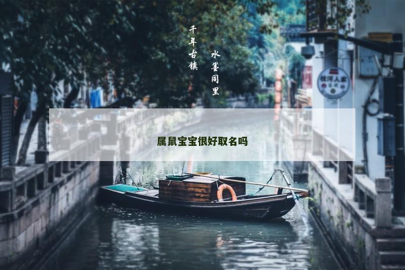 属鼠宝宝很好取名吗