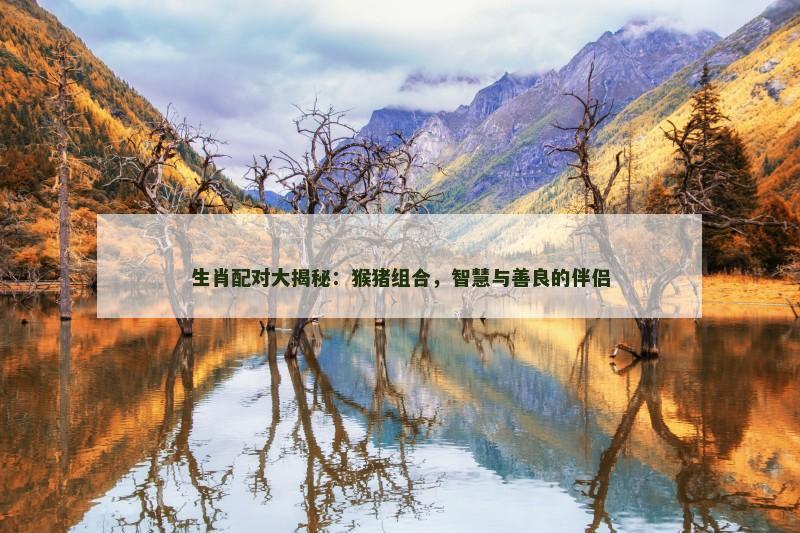 生肖配对大揭秘：猴猪组合，智慧与善良的伴侣