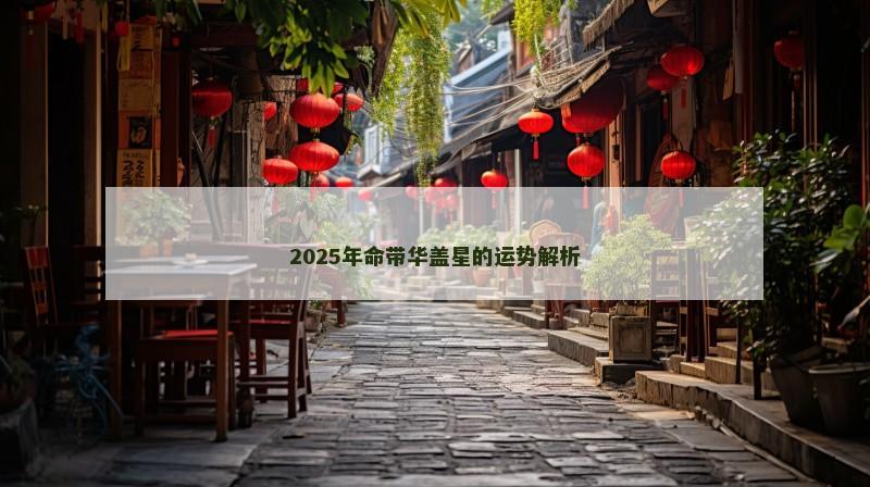 2025年命带华盖星的运势解析