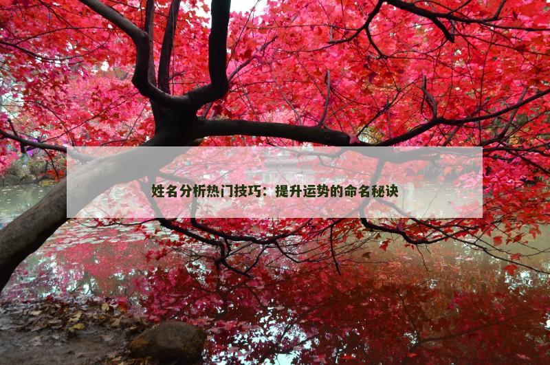 姓名分析热门技巧：提升运势的命名秘诀