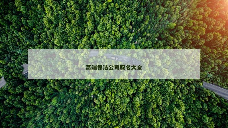 高端保洁公司取名大全