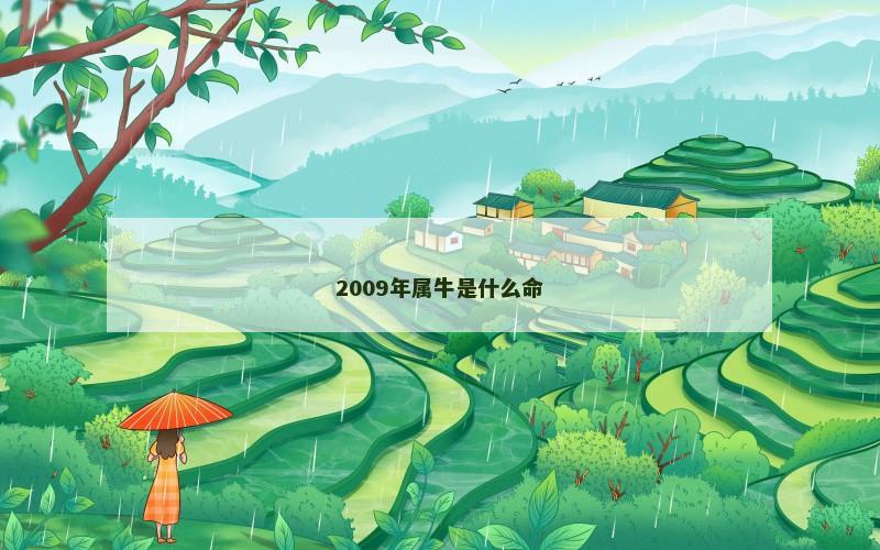 2009年属牛是什么命