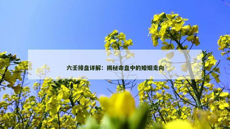 六壬排盘详解:揭秘命盘中的婚姻走向 六壬排盘详解:揭秘命盘中的婚姻走向