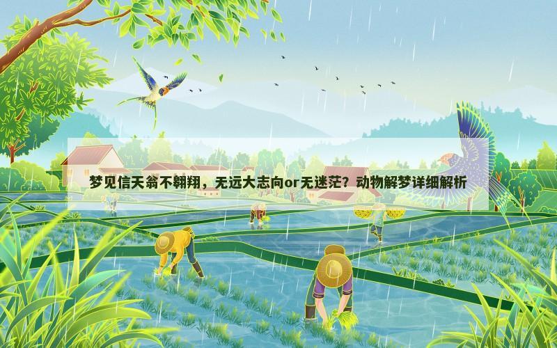 梦见信天翁不翱翔，无远大志向or无迷茫？动物解梦详细解析