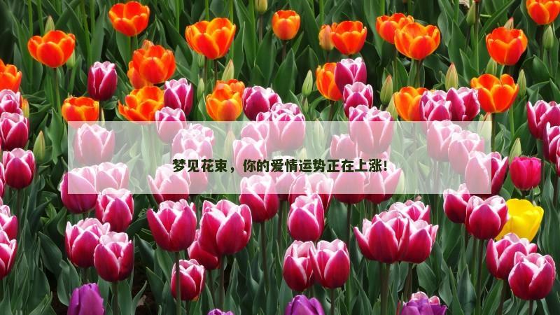 梦见花束，你的爱情运势正在上涨！