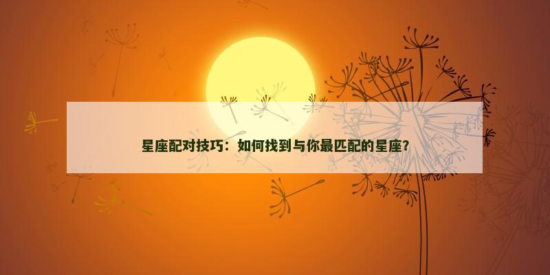 星座配对技巧：如何找到与你最匹配的星座？