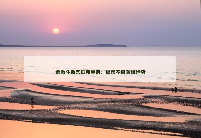 紫微斗数宫位和星宿：揭示不同领域运势