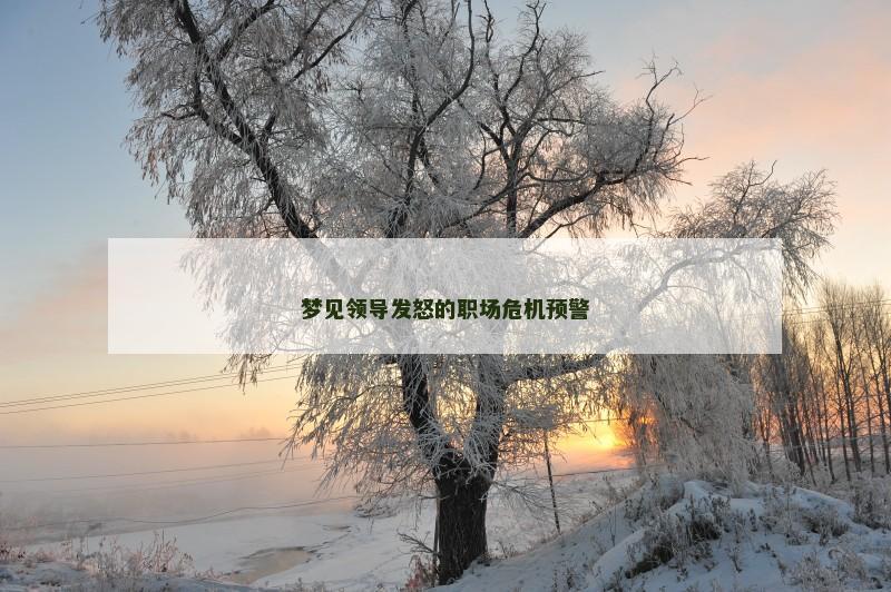 梦见领导发怒的职场危机预警
