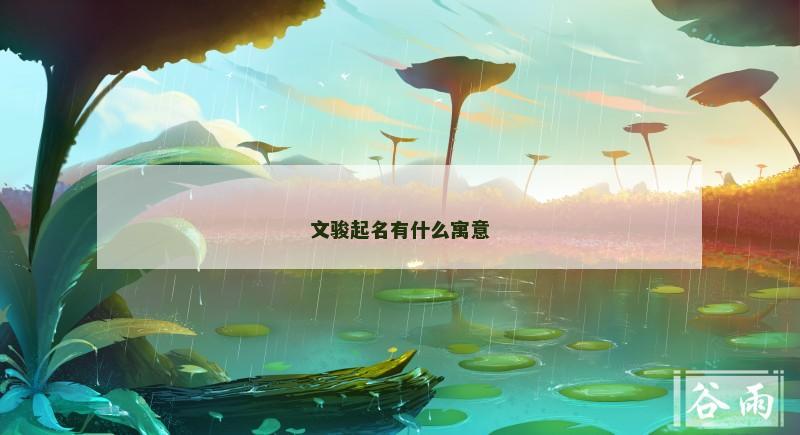 文骏起名有什么寓意 文骏起名有什么寓意