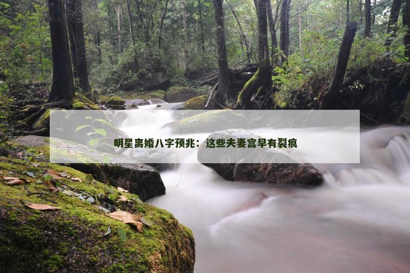 明星离婚八字预兆：这些夫妻宫早有裂痕