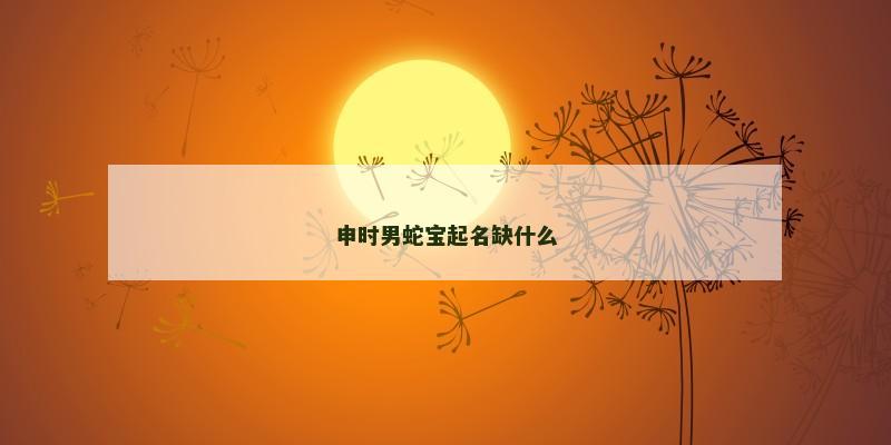 申时男蛇宝起名缺什么