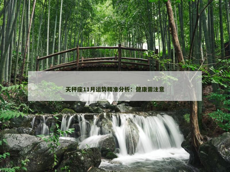 天秤座11月运势精准分析：健康需注意