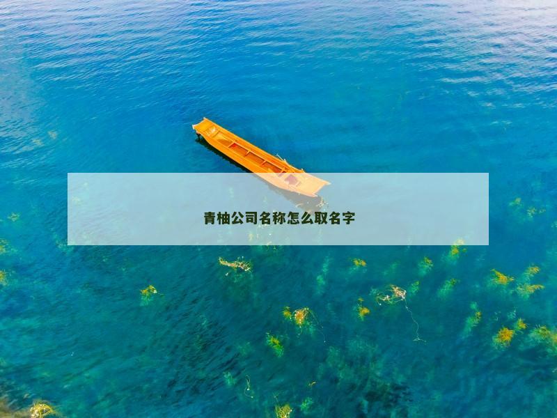 青柚公司名称怎么取名字