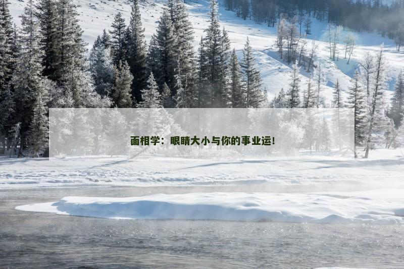 面相学：眼睛大小与你的事业运！