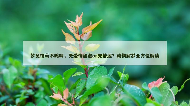 梦见夜莺不鸣叫，无爱情甜蜜or无苦涩？动物解梦全方位解读