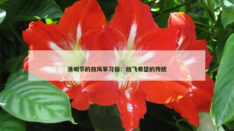 清明节的放风筝习俗：放飞希望的传统