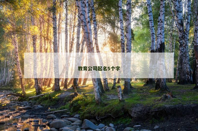 教育公司起名5个字