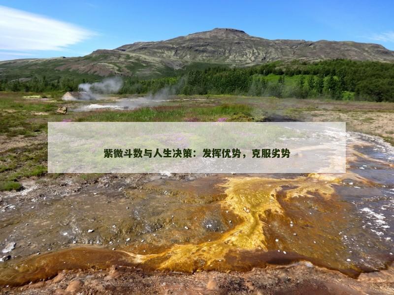 紫微斗数与人生决策：发挥优势，克服劣势