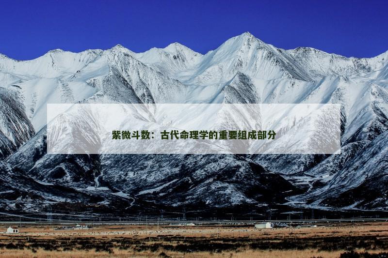 紫微斗数：古代命理学的重要组成部分