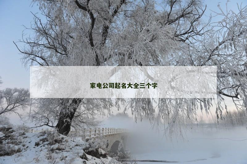 家电公司起名大全三个字