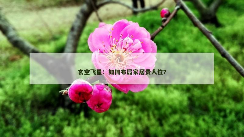 玄空飞星：如何布局家居贵人位？