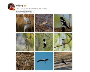 李现又去公园打鸟了 网友:被演员耽误的摄影师